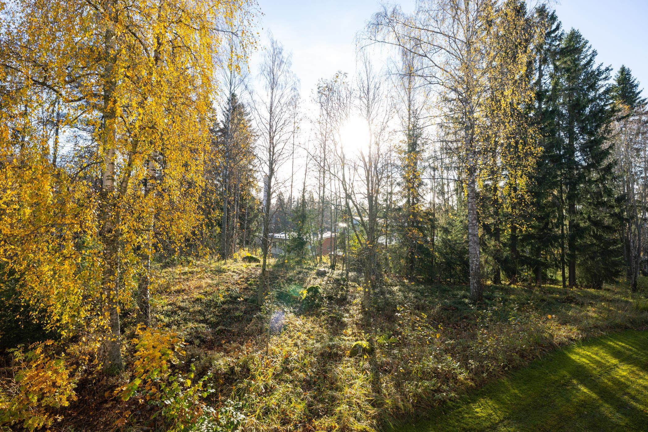 Kohdekuva 19