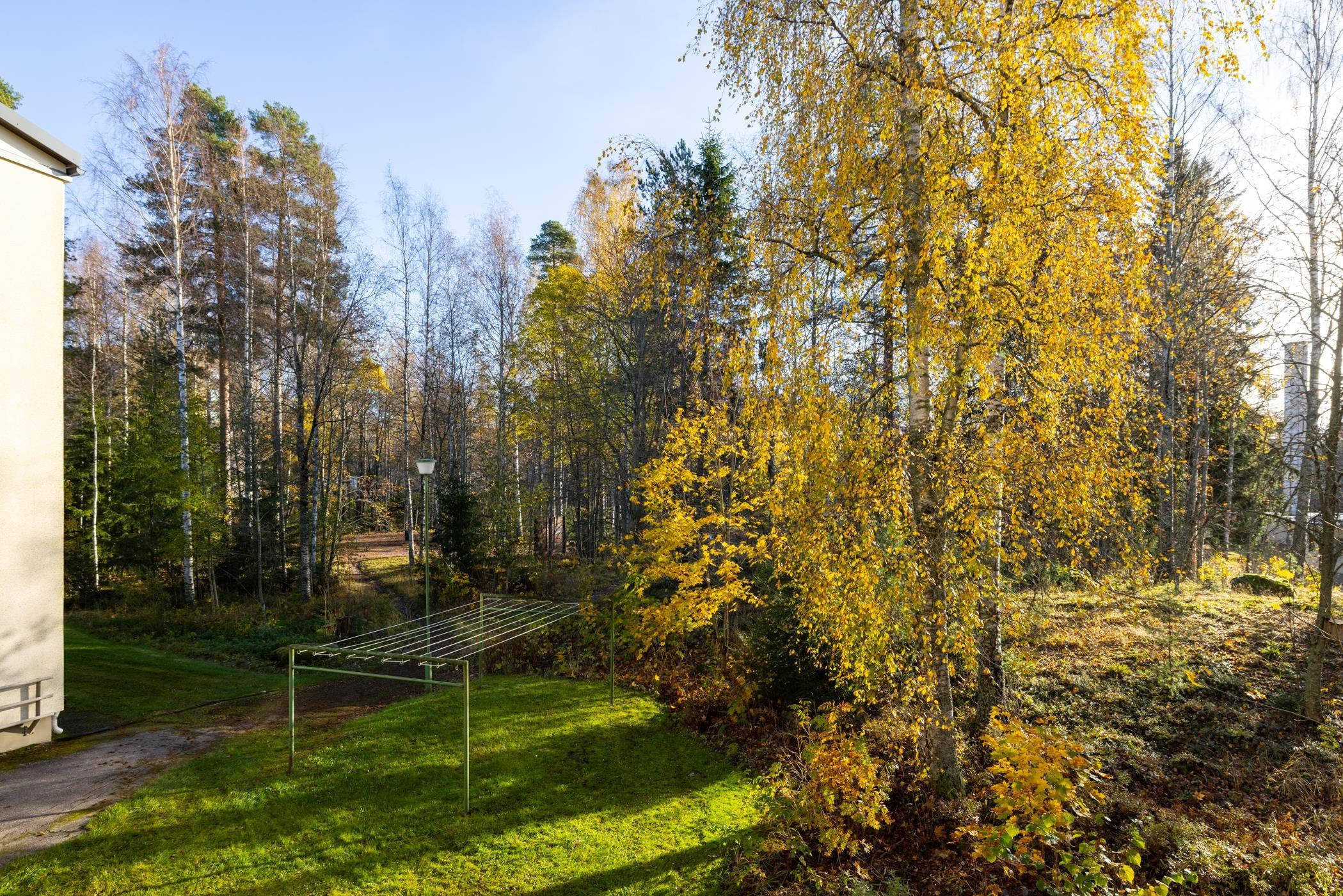 Kohdekuva 17