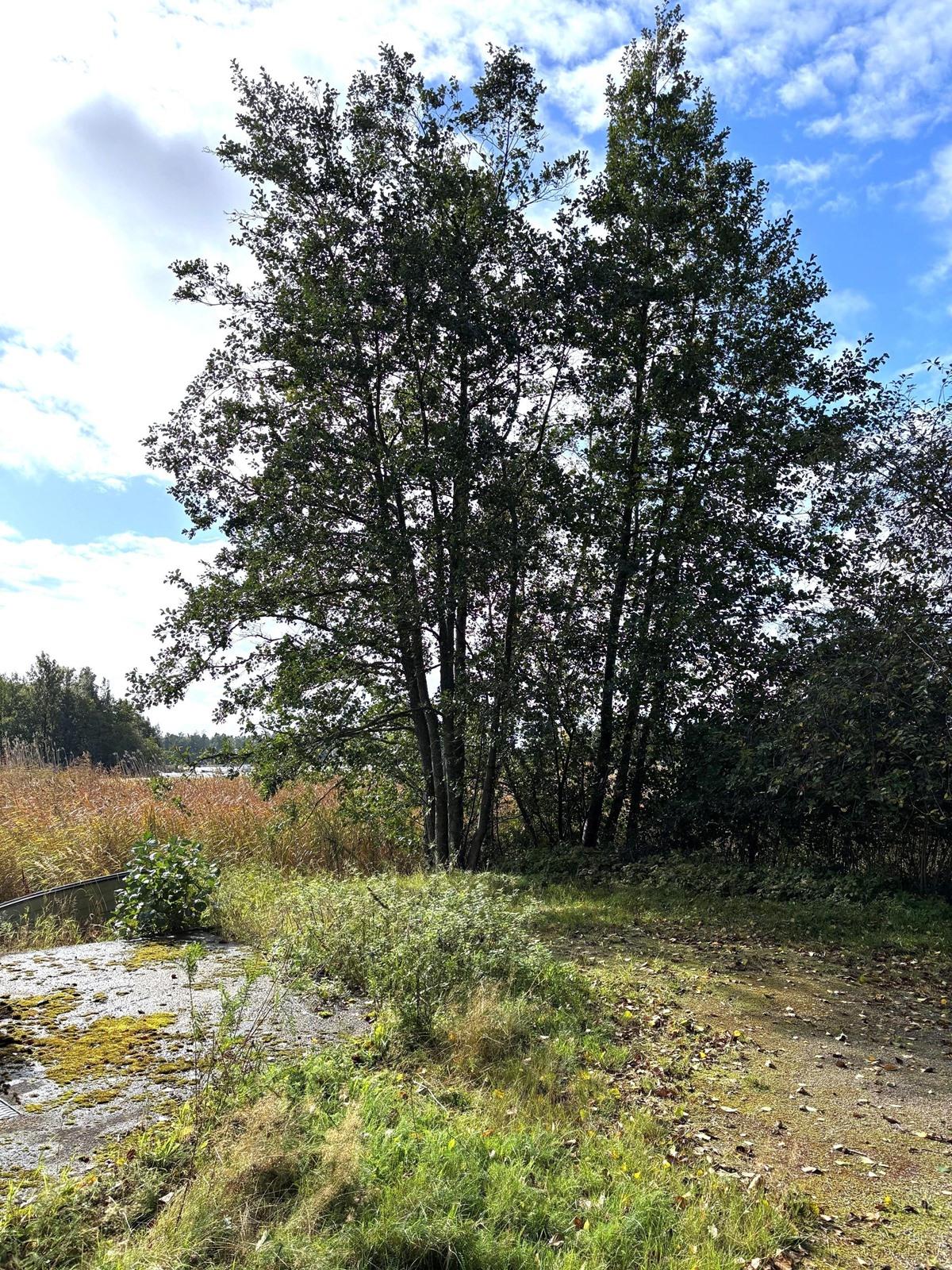 Kohdekuva 13
