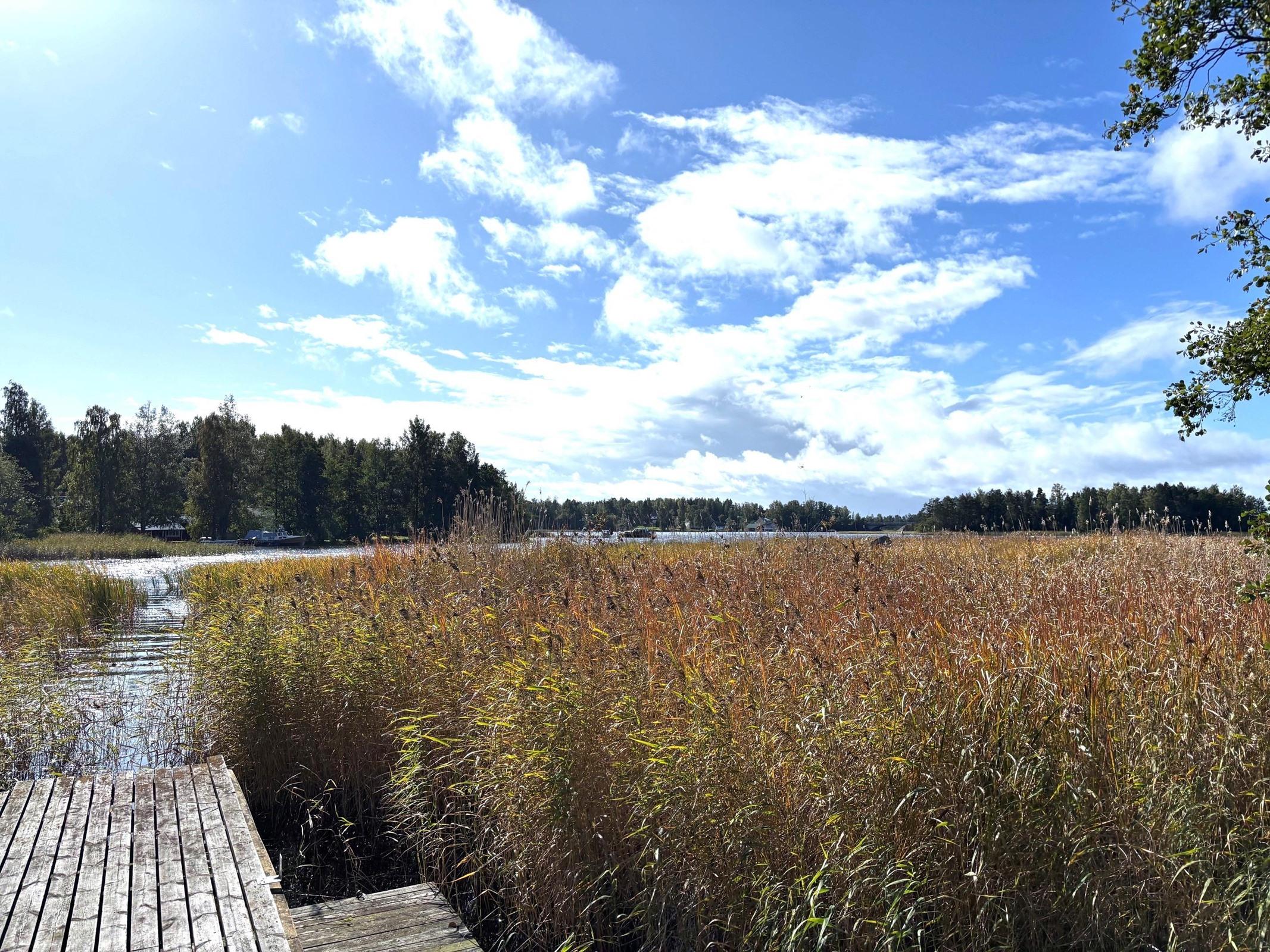 Kohdekuva 14