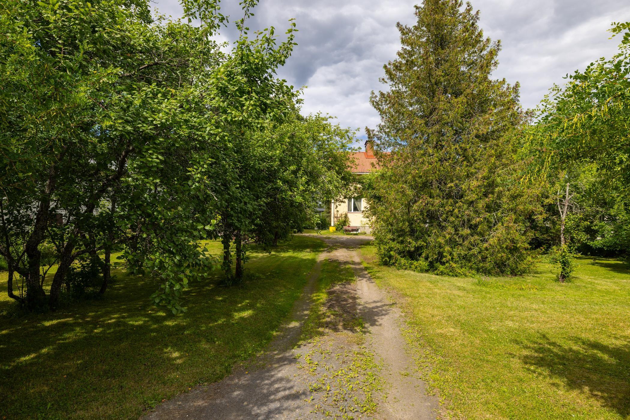 Kohdekuva 12