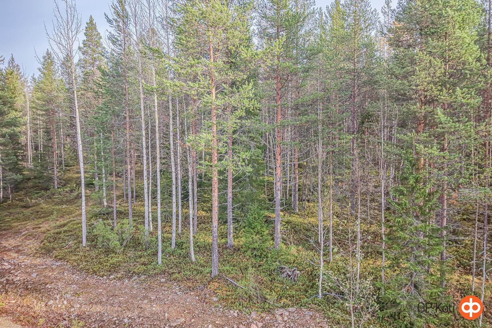 Kohdekuva 4