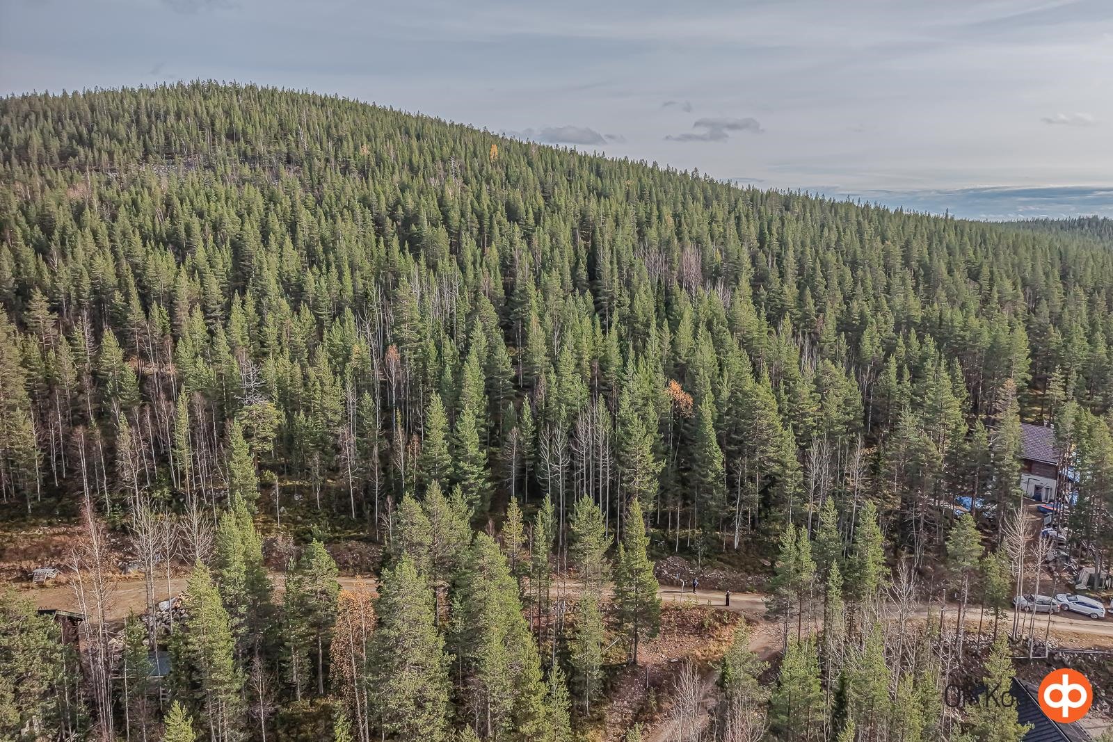 Kohdekuva 8