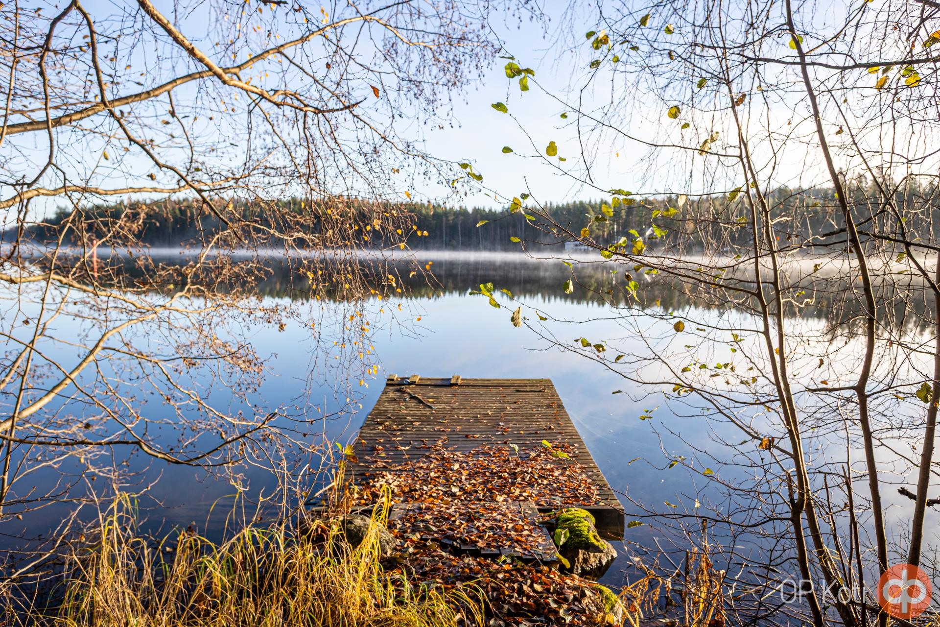 Kohdekuva 49
