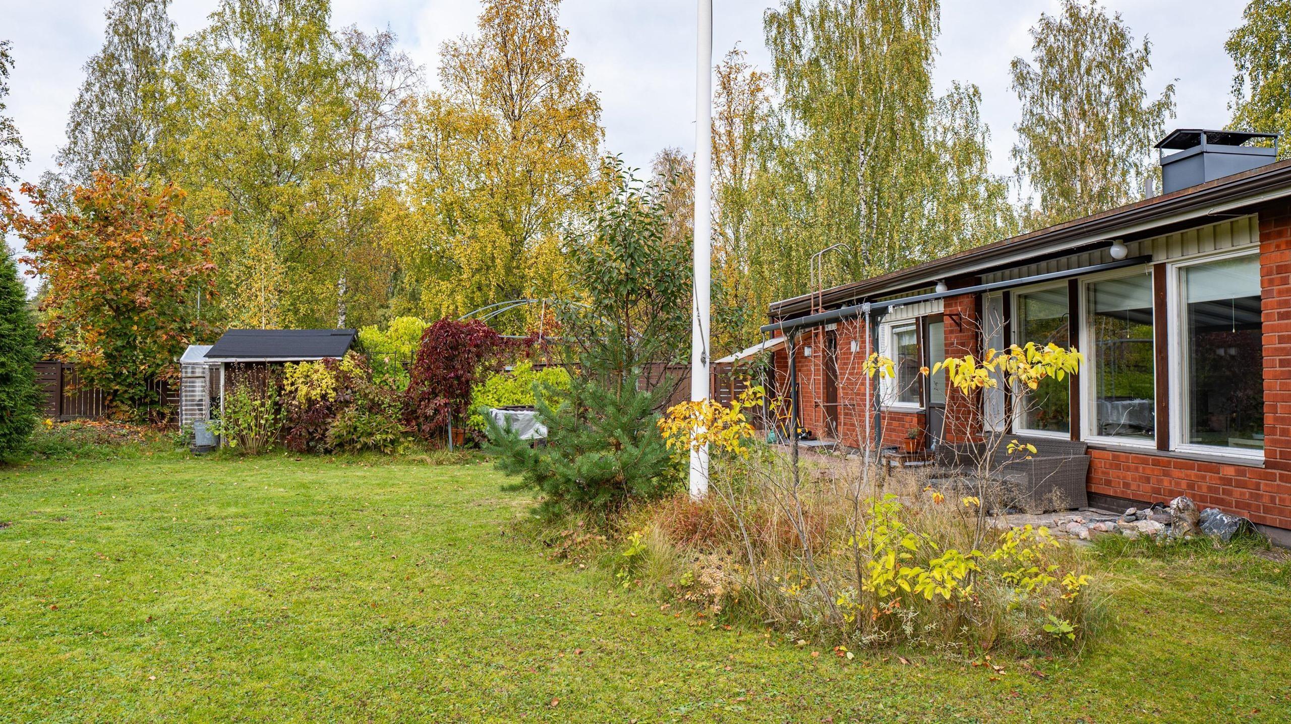 Kohdekuva 16